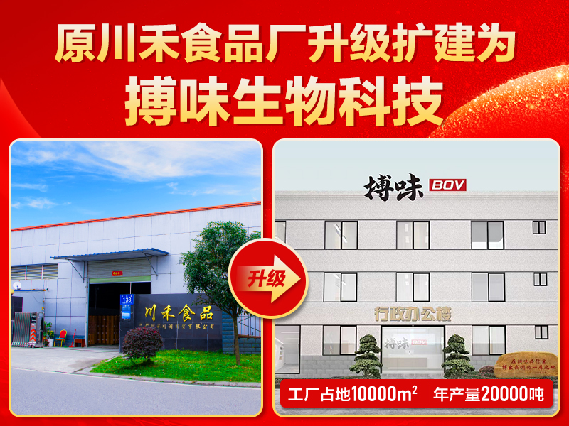 搏味食品廠：源頭實力煥新，領航火鍋底料產業新征程